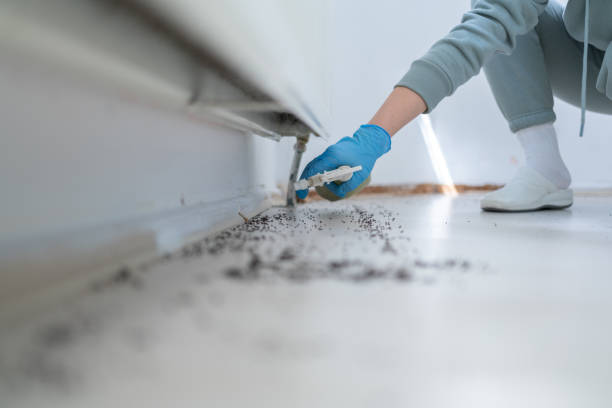 Professional Pest Control in Oakland, IA